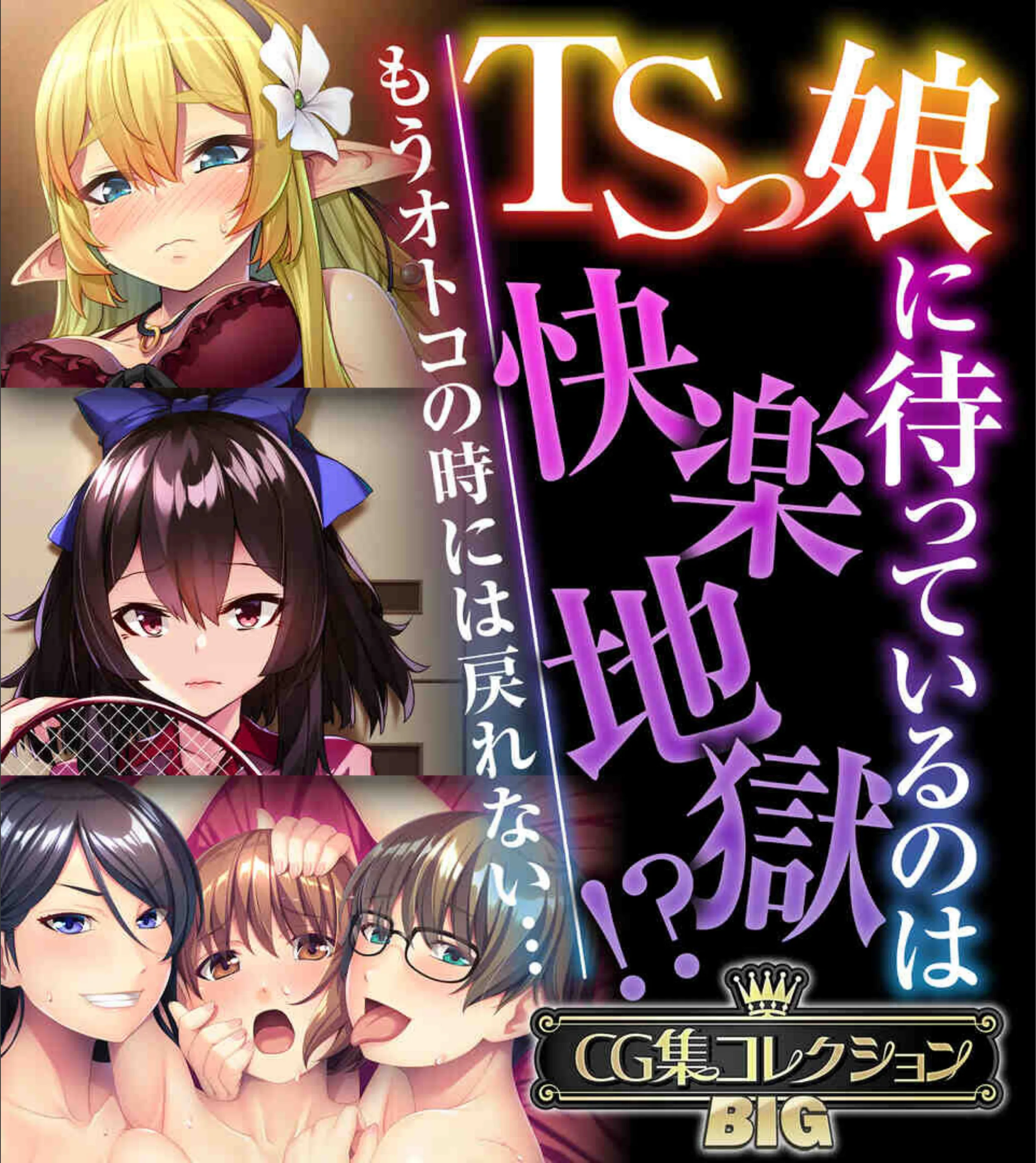 TSっ娘に待っているのは快楽地獄!? 〜もうオトコの時には戻れない…〜【CG集コレクションBIG】