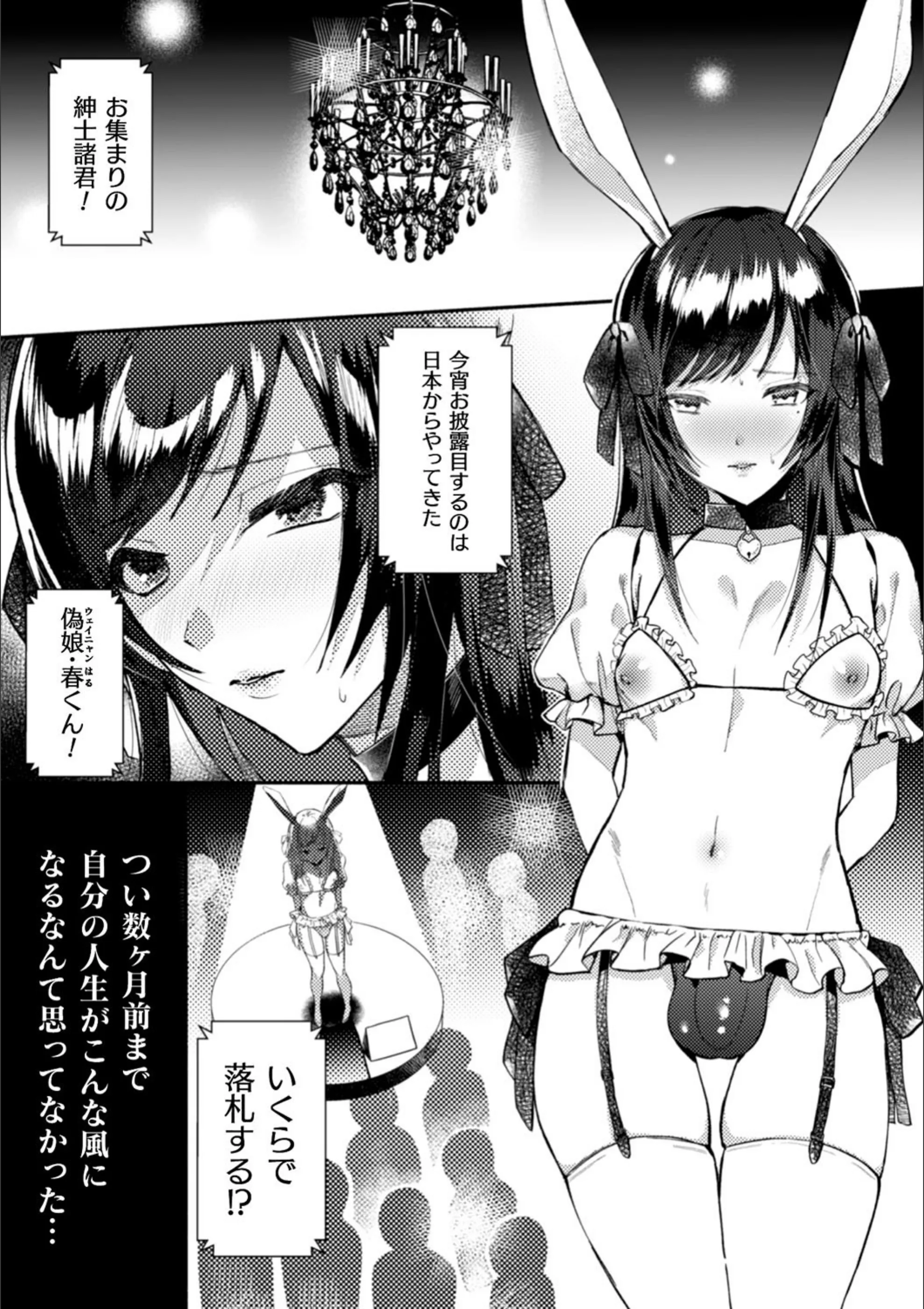 割れた鏡（単話）
